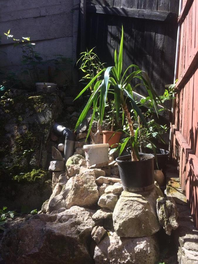 ホテル Casa Cu Curte ブラショフ エクステリア 写真